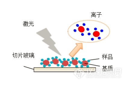 浙江賢箭科學儀器有限公司